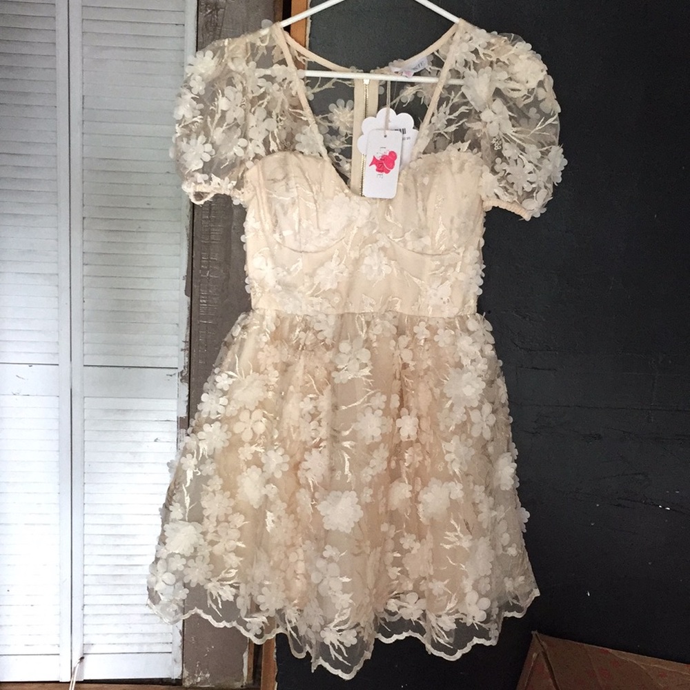 Lace Floral dress, knee length in the color cream